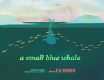 Ferry Small Blue Whale